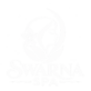 chatgpt image sep 11, 2026, 05 49 31 pm